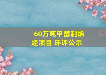 60万吨甲醇制烯烃项目 环评公示